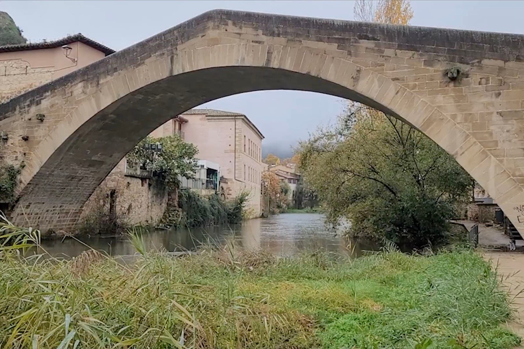 Estella