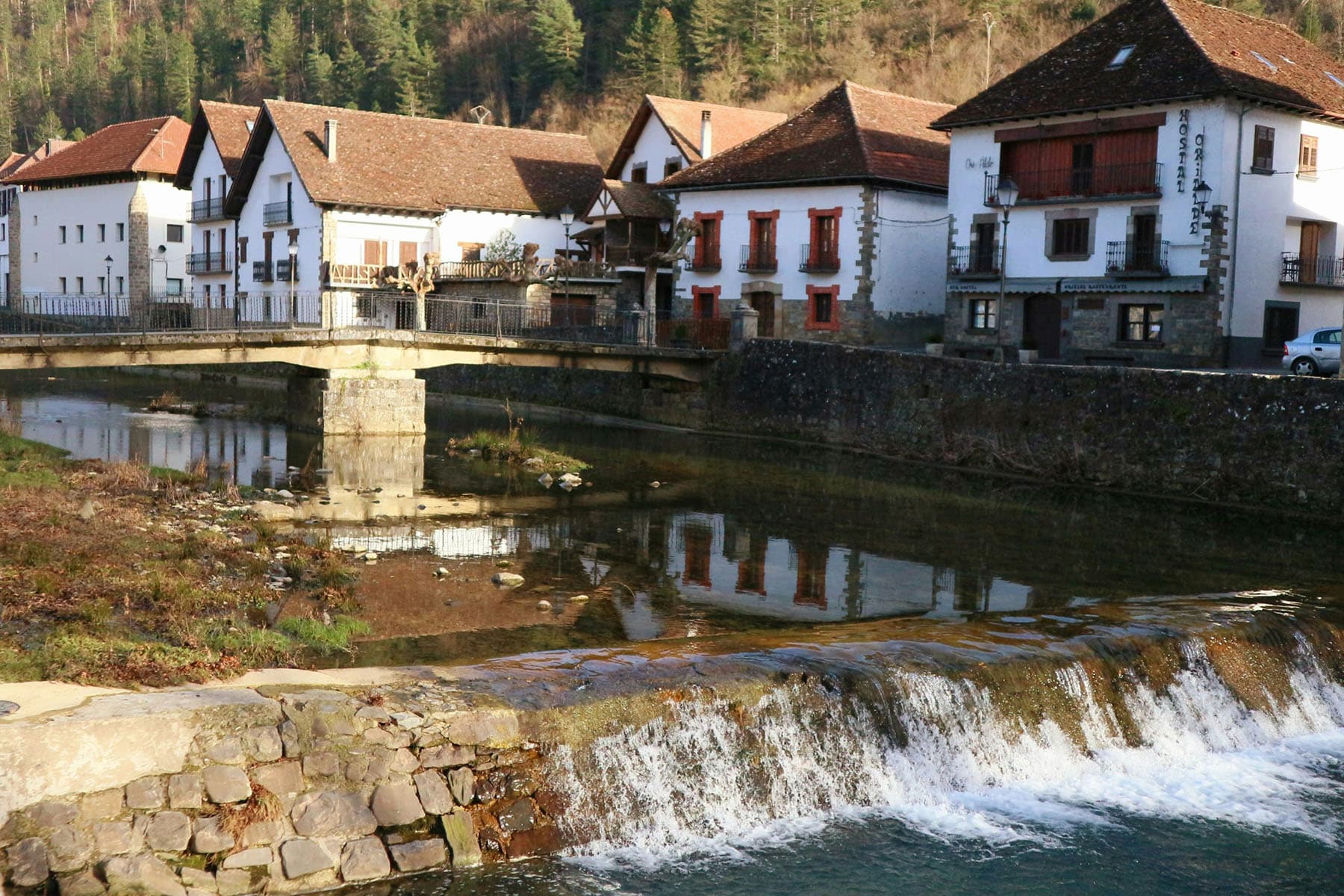 Ochagavia