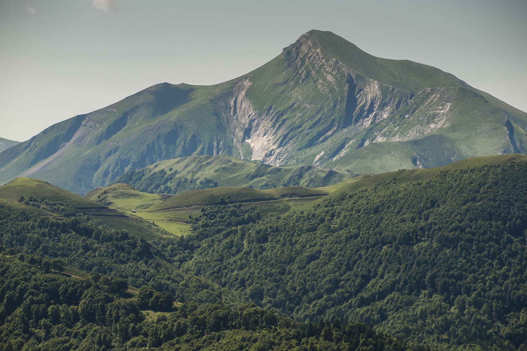 Larrau