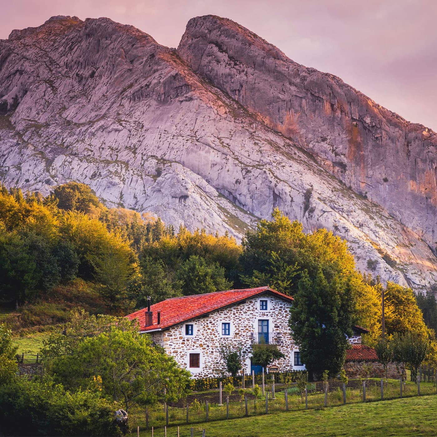 Maison