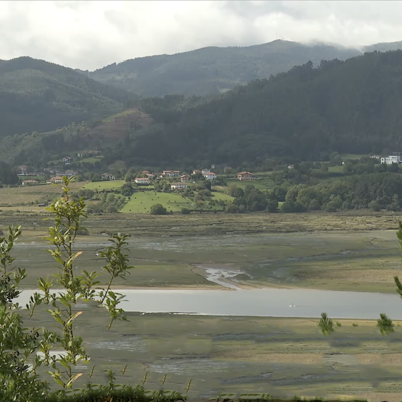 Urdaibai