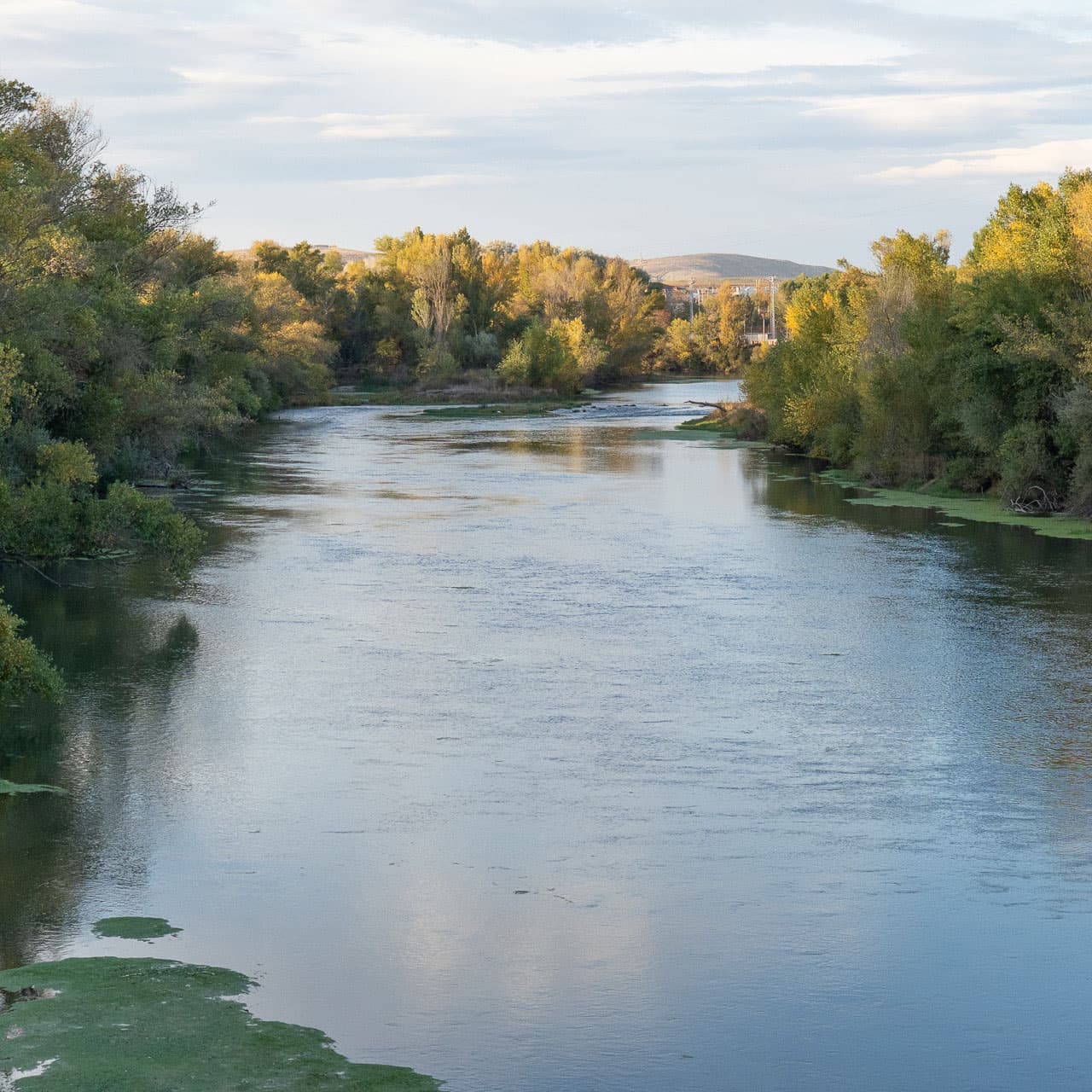 Ribera Ebre