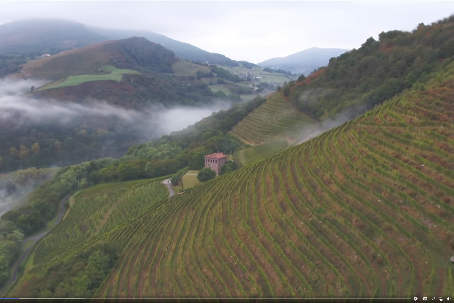 Vignes Irouleguy