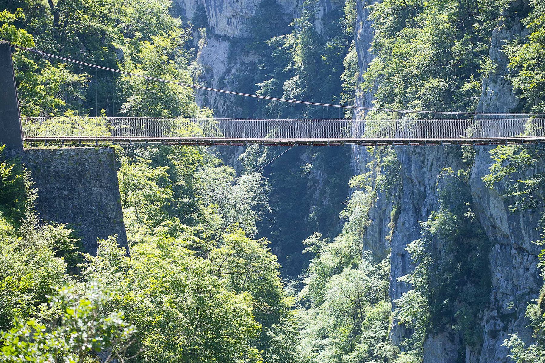 Passerelle Holzarte